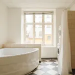 Large & Bright 3br W Whirlpool Near Metro Apartment Copenhagen